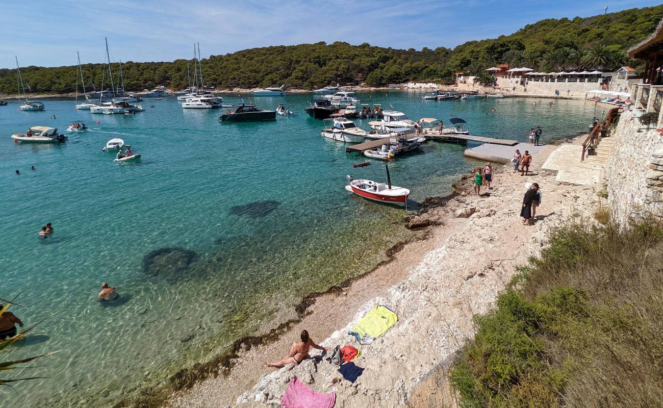 Foto af Palmizana Beach med lys sand overflade