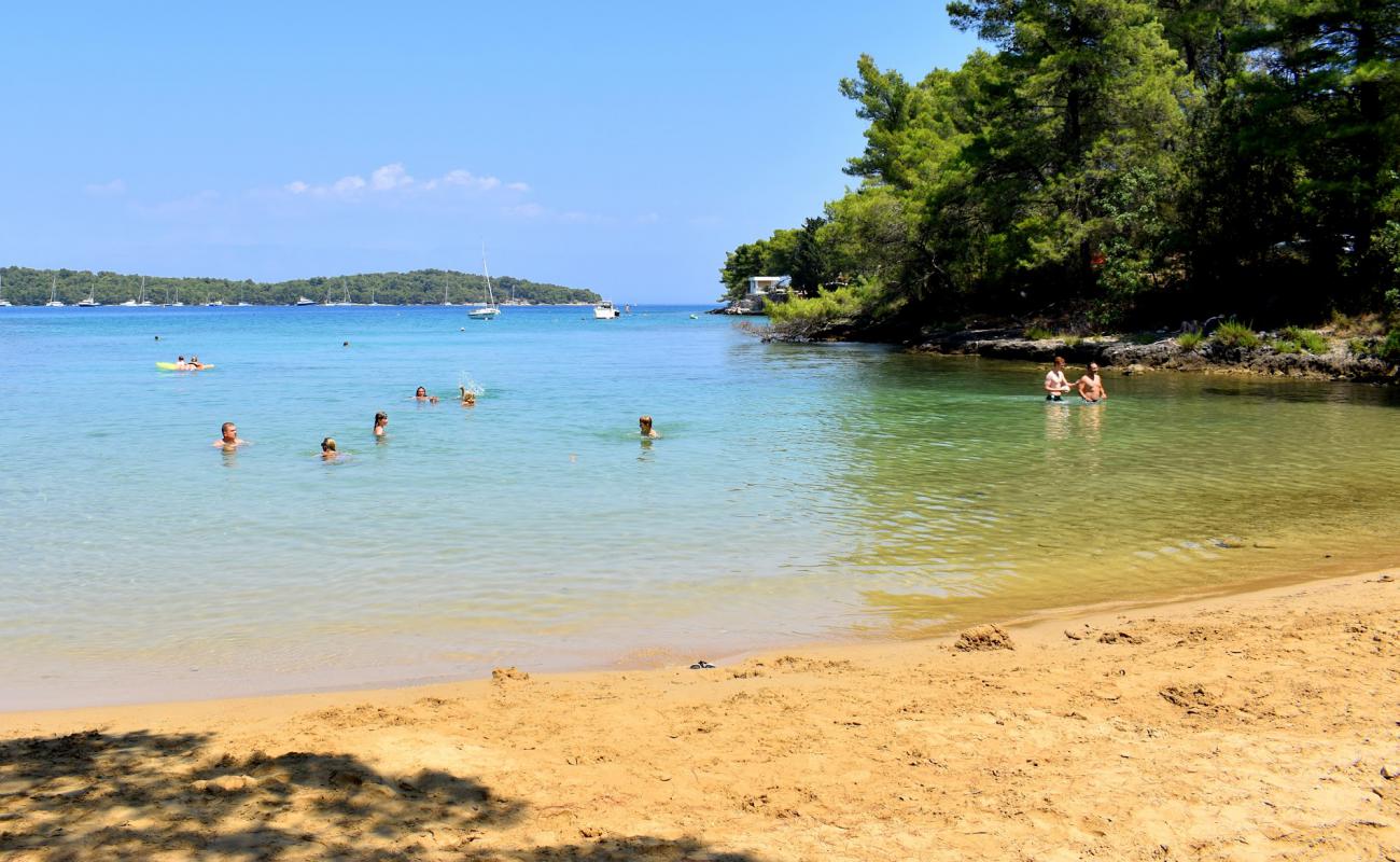 Foto af Sandy Beach, Vitarnja med lys sand overflade