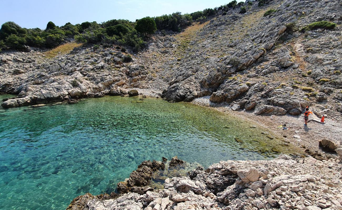 Foto af Vela Draga Beach med let sten overflade