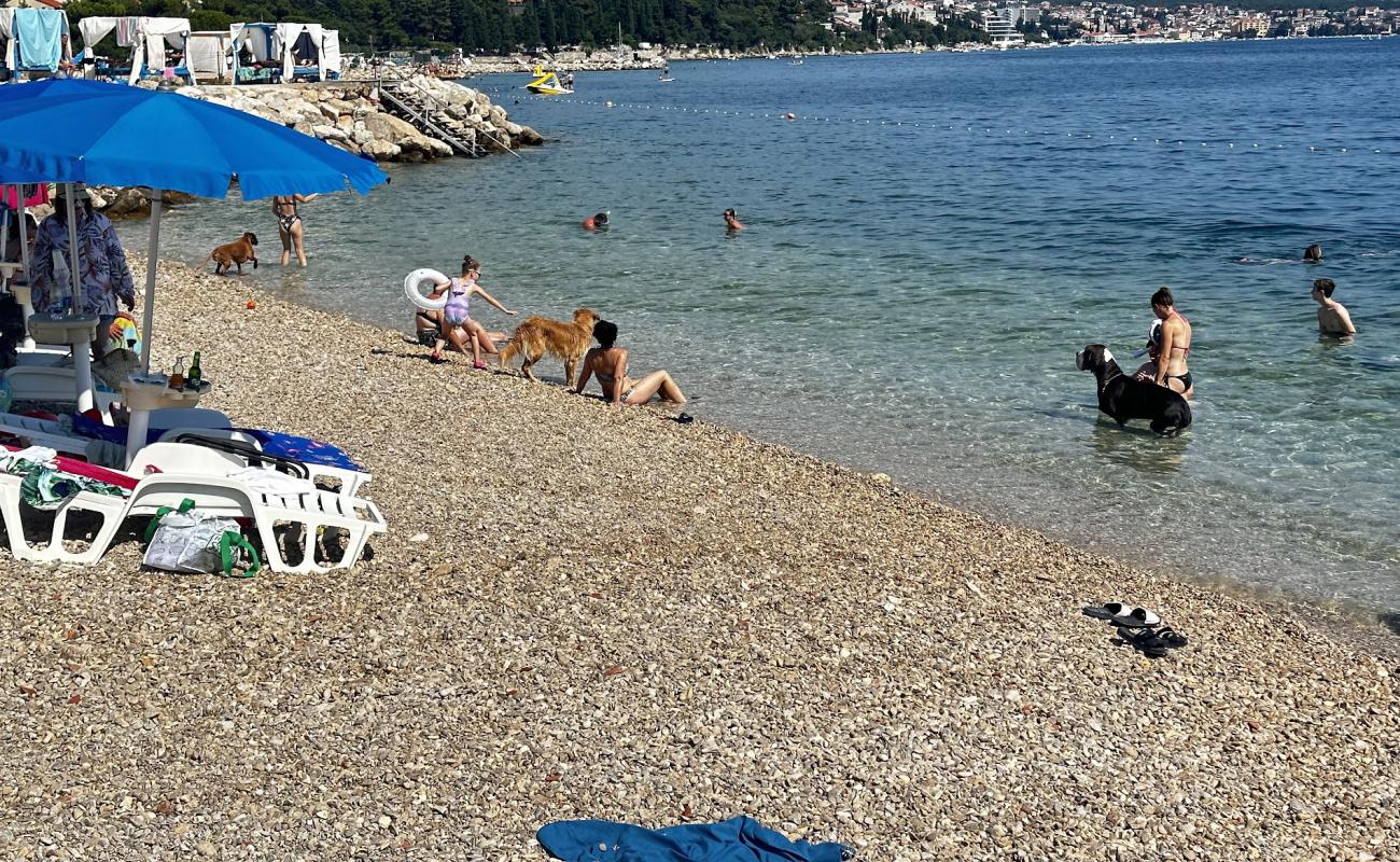 Foto af Monty's Dog Beach med grå fin sten overflade