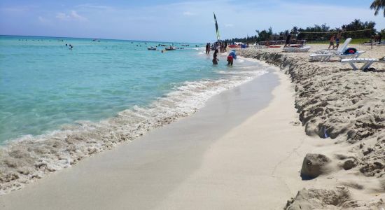 Varadero beach VI