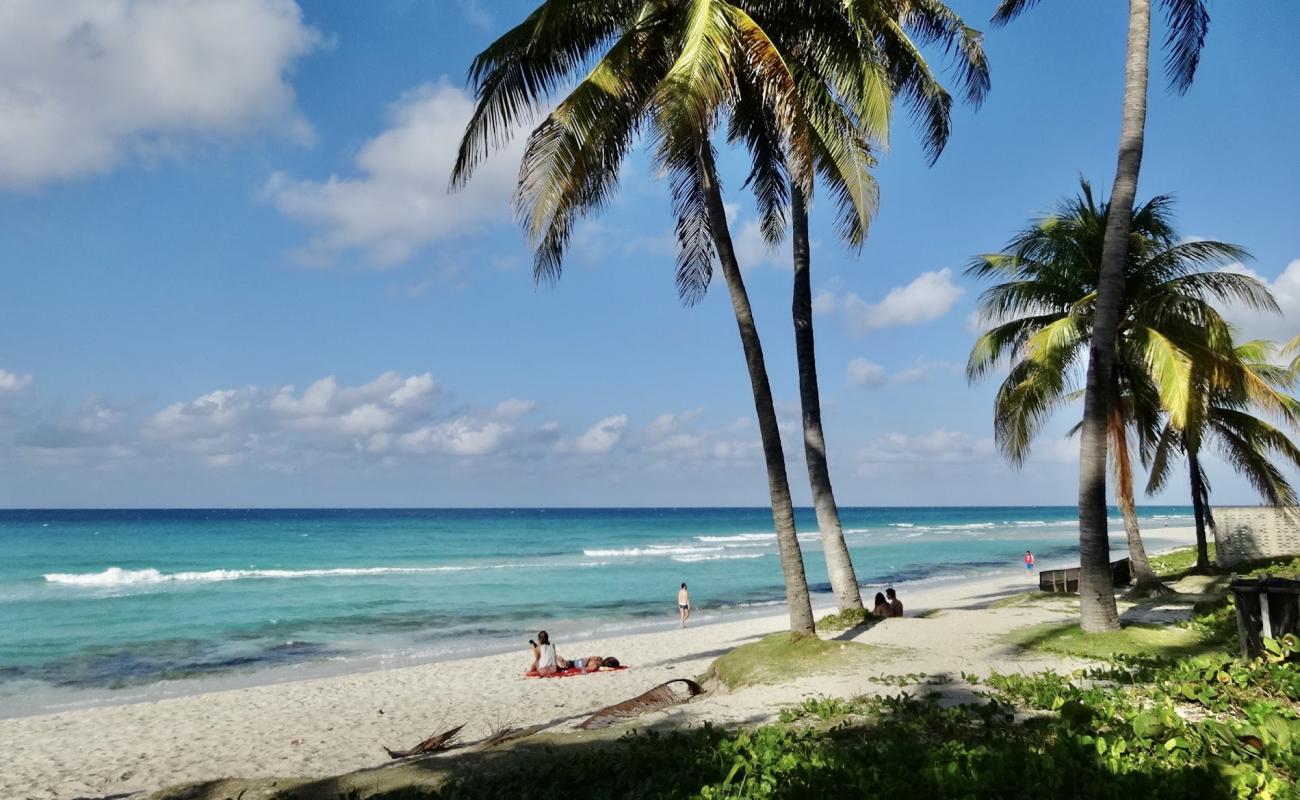 Foto af Varadero Strand II med lys fint sand overflade