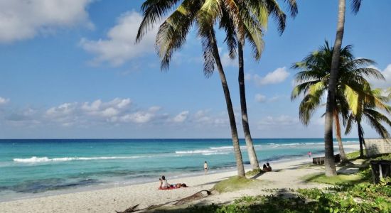 Varadero Strand II