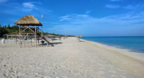 Varadero Strand IV