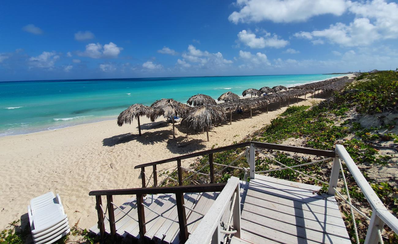 Foto af Cayo Santa Maria III med lys fint sand overflade