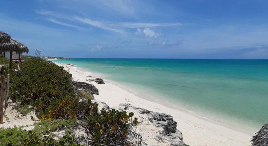 Cayo Santa Maria V Strand