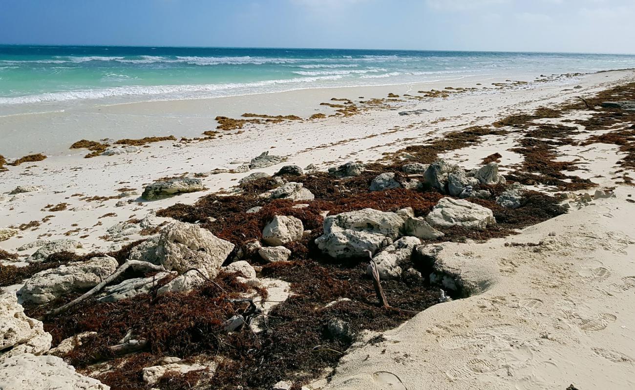 Foto af Playa Del Norte med hvidt sand overflade