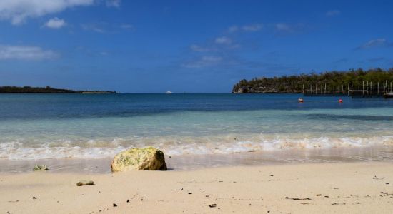 Playa La Guanas