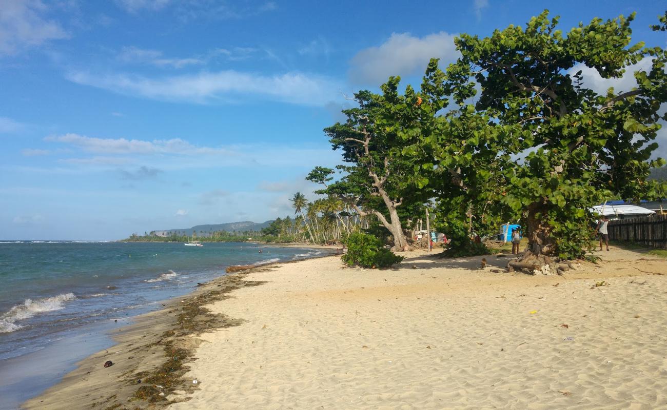 Foto af Playa Barigua med lys sand overflade