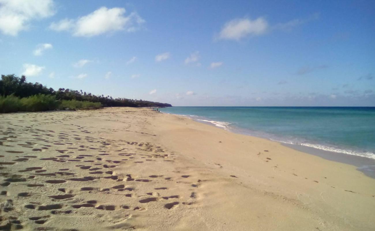 Foto af Playa del Mar med lys sand overflade