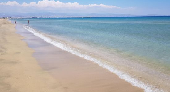 Lady's Mile beach