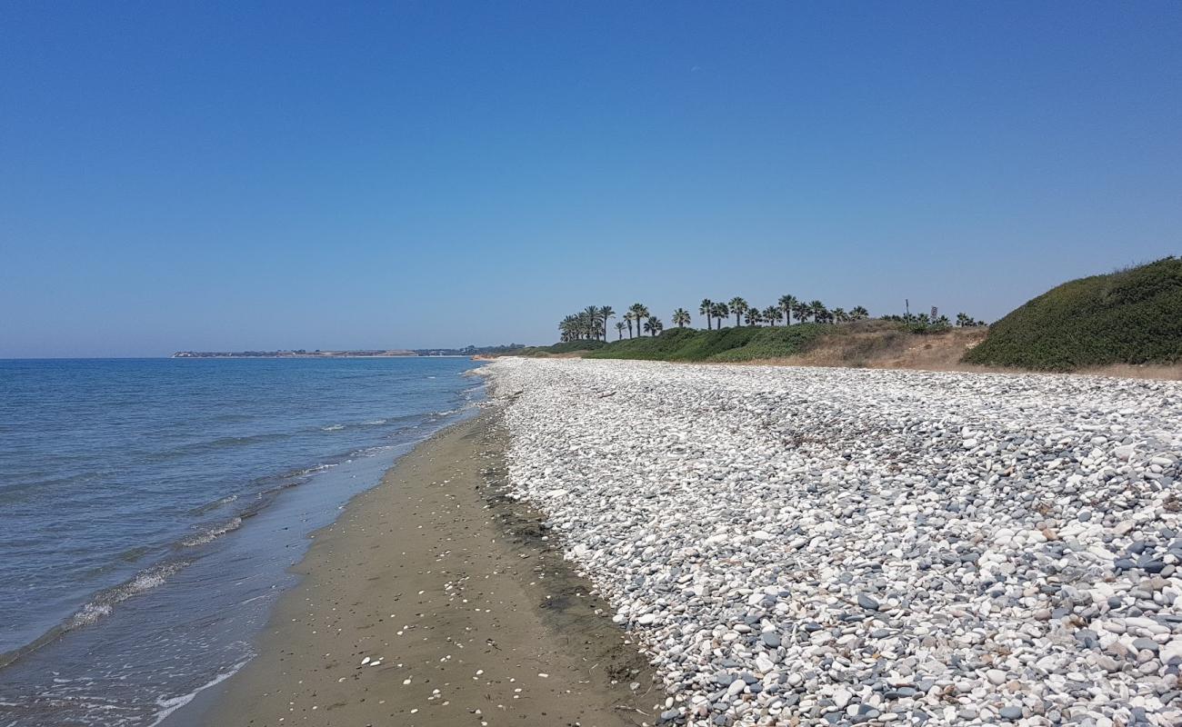 Foto af Mazotos beach med lys sand overflade