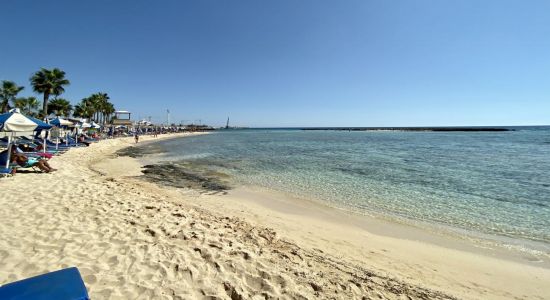 Ayia Thekla Stranden