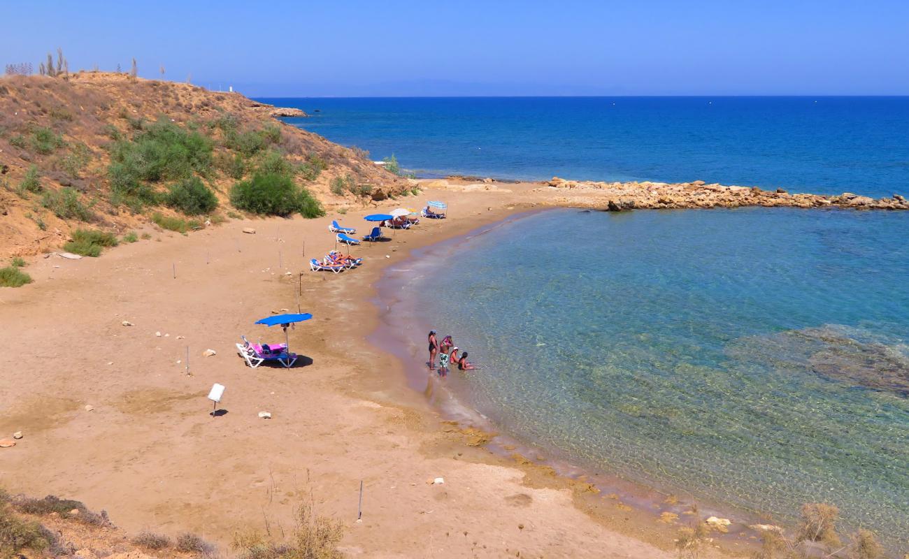 Foto af Paralimni Sands med lys sand overflade