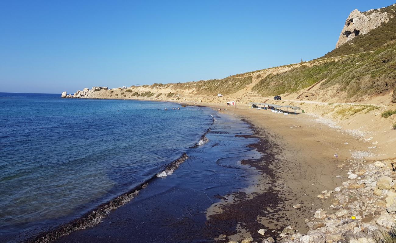 Foto af Hifzi karavan med lys sand overflade