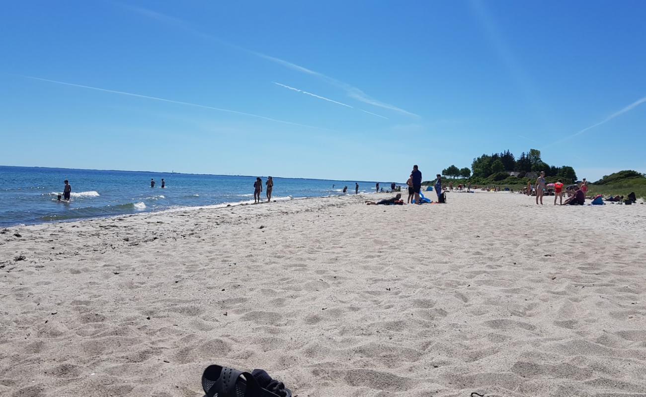 Foto af Drejby Strand med lys sand overflade