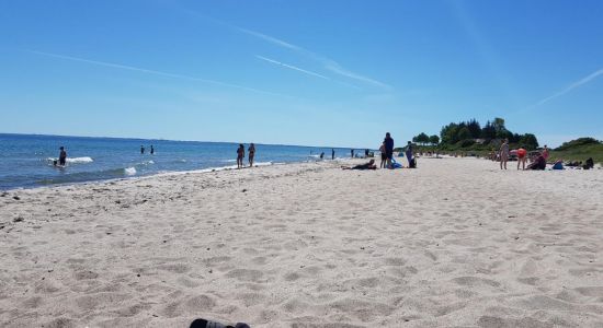 Drejby Strand