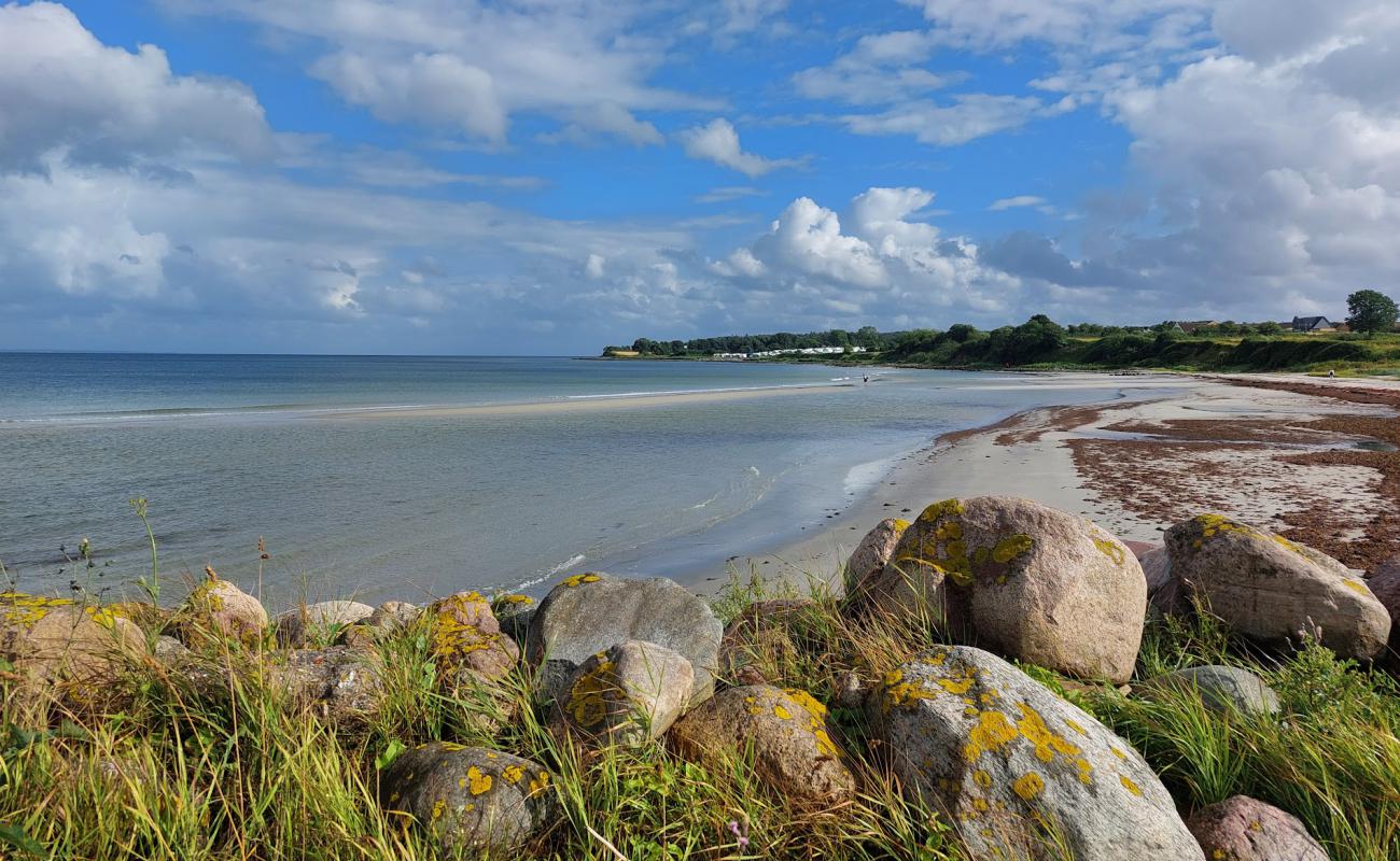 Foto af Fynshav Strand med lys sand overflade