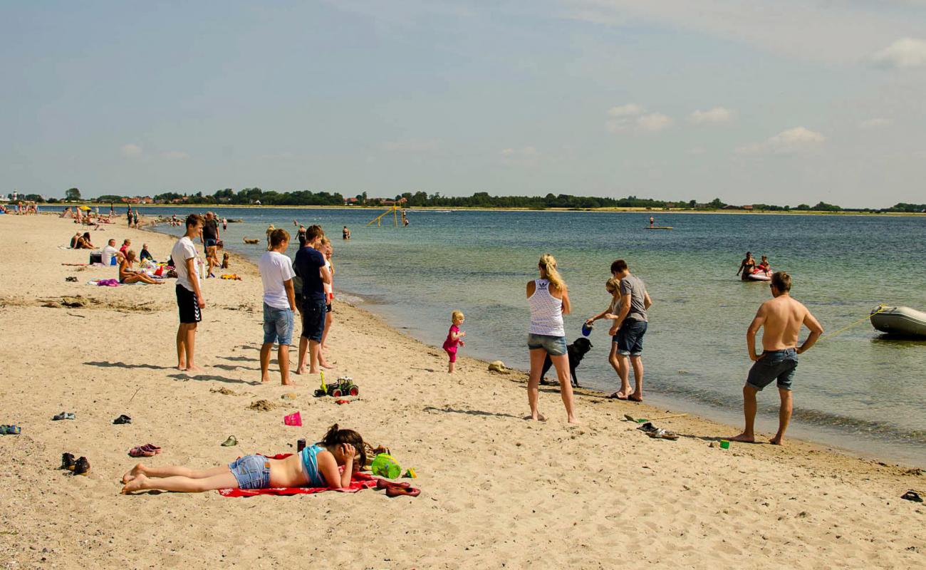 Foto af Gammelbro Strand med lys sand overflade