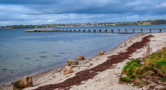 Løverodde Strand