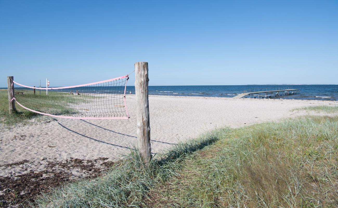 Foto af Odder Strand med lys sand overflade