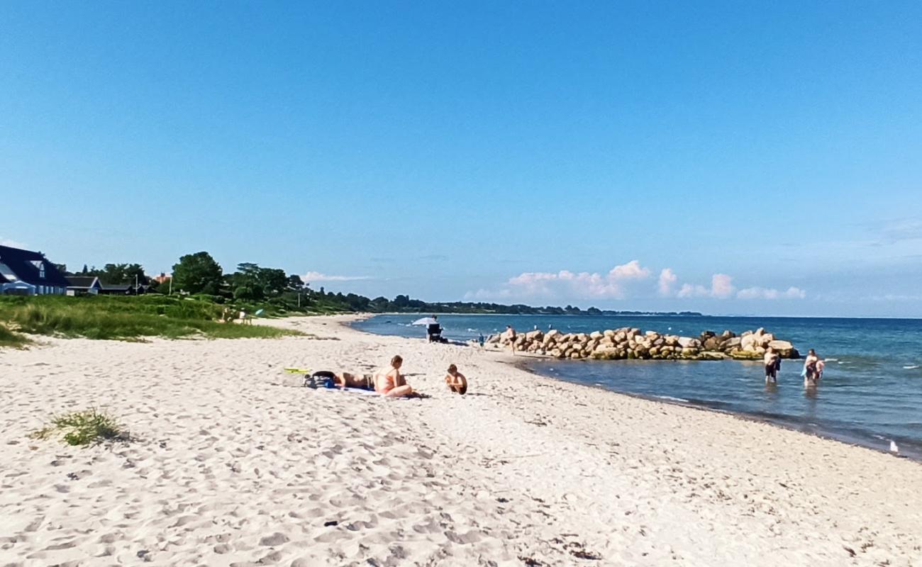 Foto af Dyngby Strand med lys sand overflade