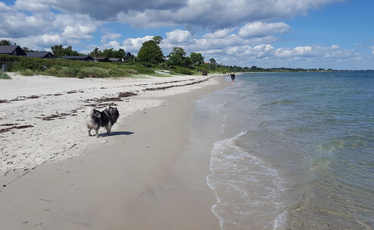 Foto af Saksild Strand med lys sand overflade