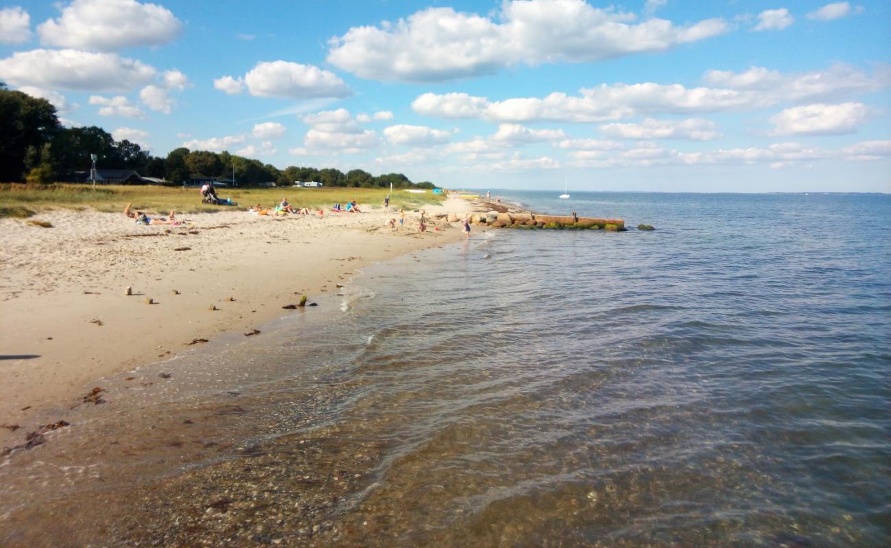 Foto af Ajstrup Strand med lys sand overflade