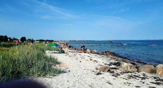 Åkrogen Strand