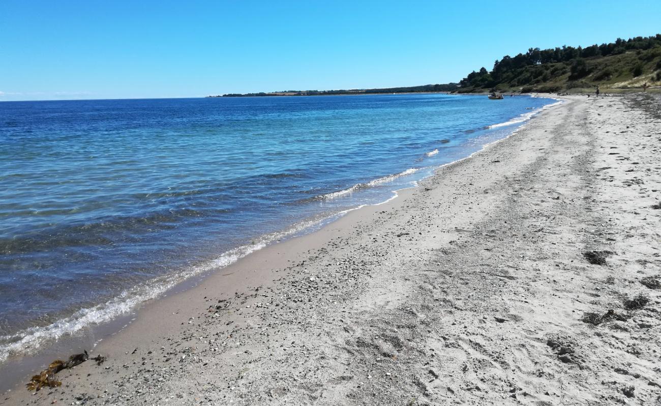 Foto af Fuglsø Strand med lys sand overflade