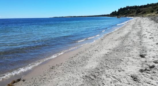 Fuglsø Strand