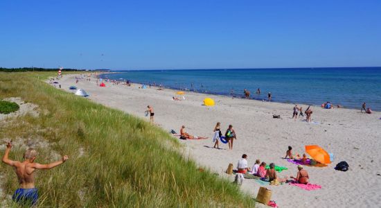 Grenaa Strand