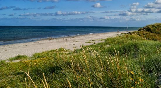 Lyngså Strand