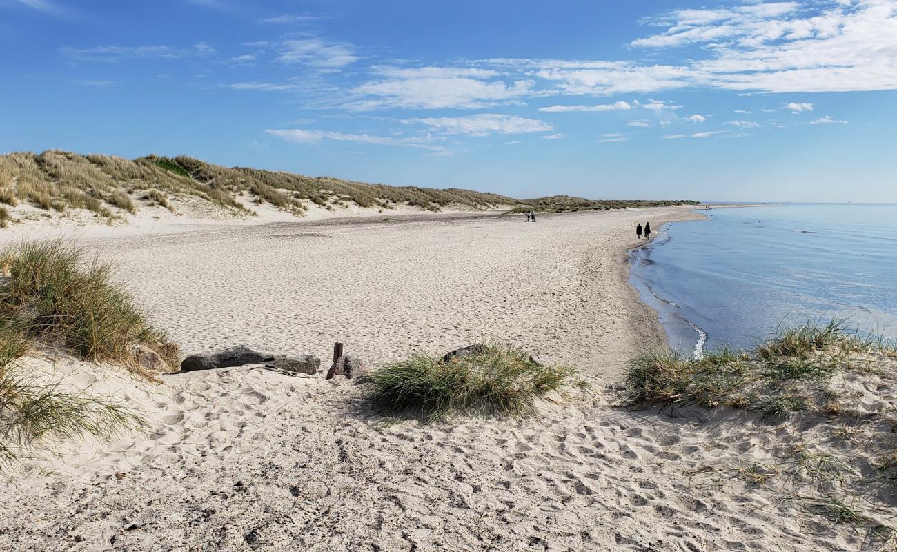 Foto af Skagen Nordstrand med lys sand overflade