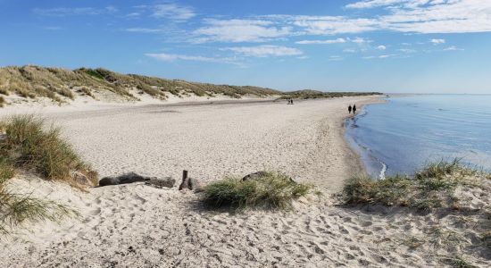 Gammel Skagen Strand