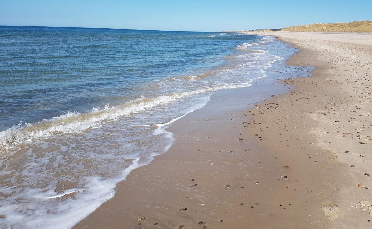 Foto af Kærsgård Strand med lys sand overflade