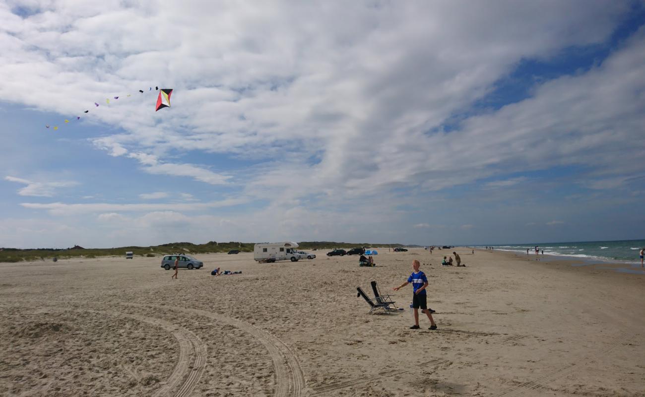 Foto af Grønhøj Strand med lys sand overflade