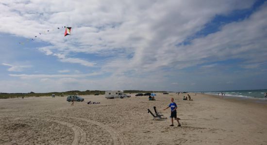 Grønhøj Strand