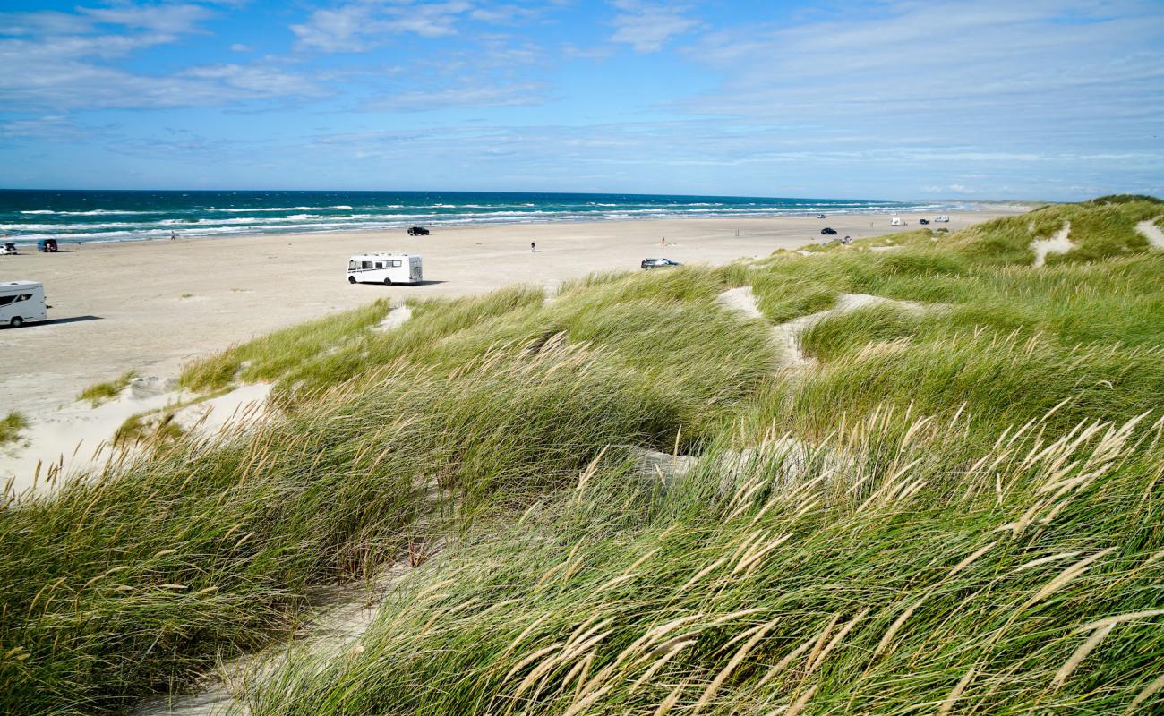 Foto af Rødhus Strand med lys sand overflade