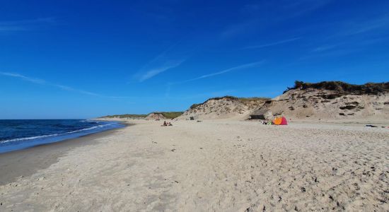 Bøgsted Strand