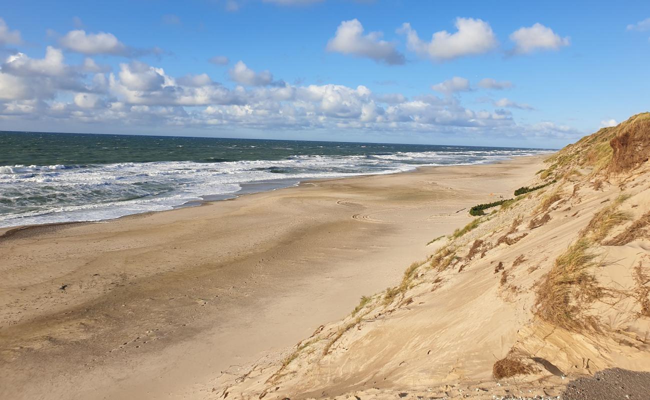 Foto af Lyngby Strand med lys sand overflade