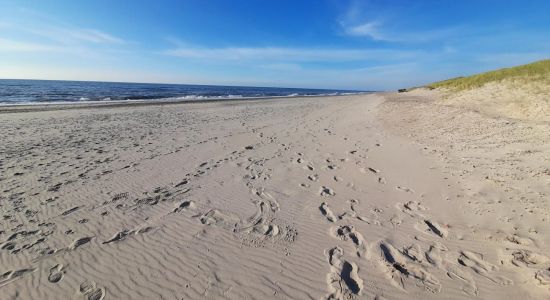 Spidsbjerg Strand