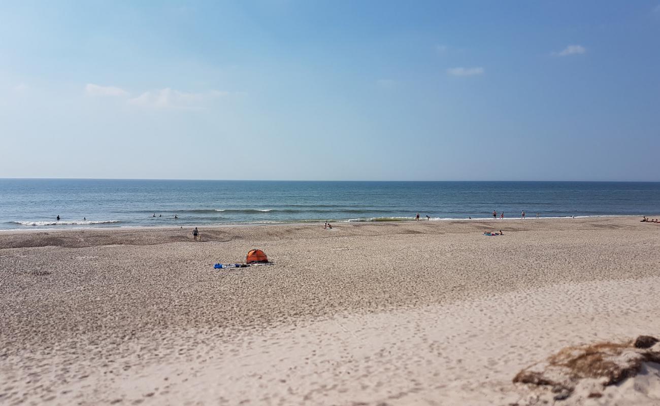 Foto af Bjerregard Strand med lys sand overflade