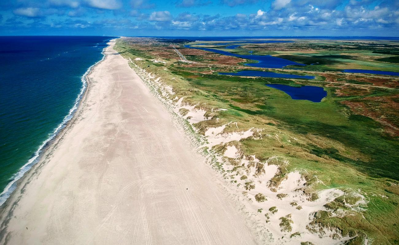 Foto af Nymindegab Strand med lys sand overflade