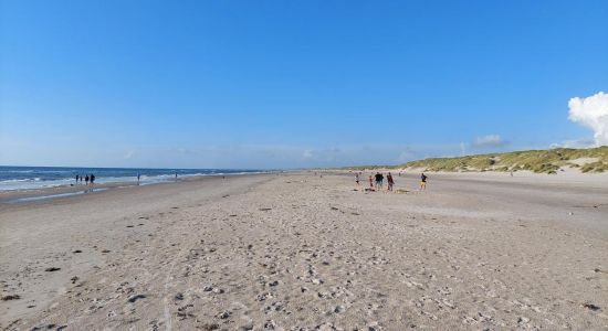 Henne Strand