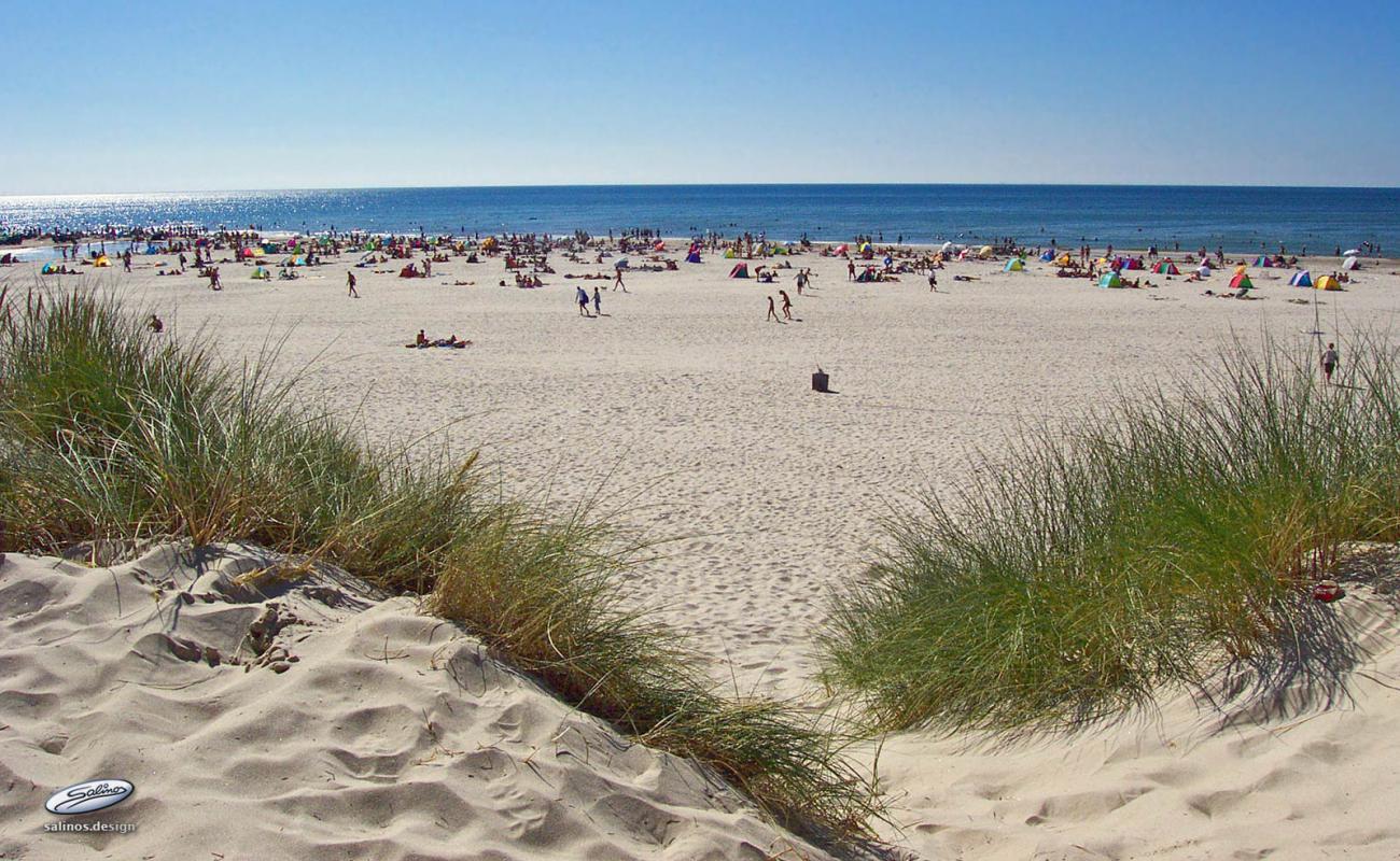 Foto af Vejers Strand med lys sand overflade