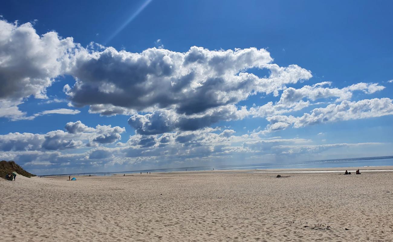 Foto af Høje Knolde Strand med lys sand overflade