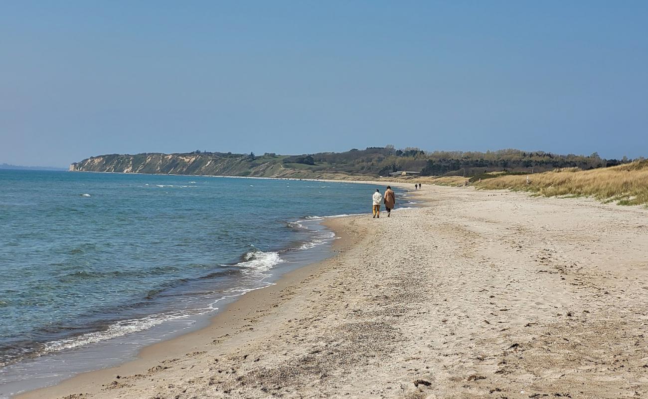 Foto af Bjørnhøj Strand med lys sand overflade