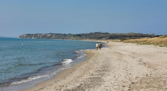 Bjørnhøj Strand