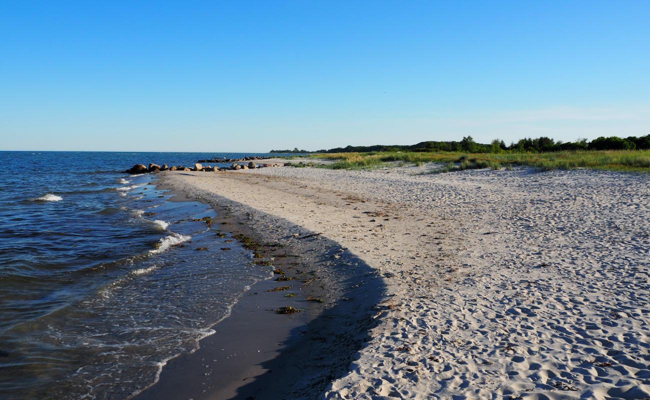 Foto af Drejet Strand med lyst sand & sten overflade